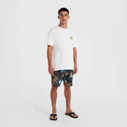 O'Neill "Beach Graphic" marškinėliai vyrams M 92800613984