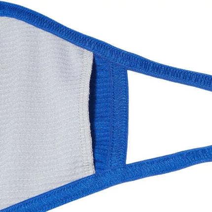 Asics VEIDINIO DANGTIS LOGO kaukė 3033B422 400