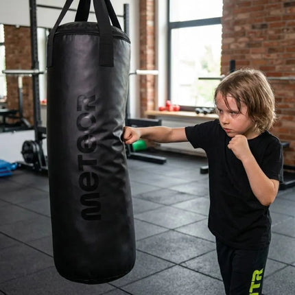 Meteor 12 kg punching bag, filled, training