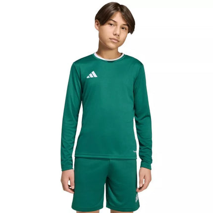 adidas Entrada 26 Long Sleeve Jersey for Kids Green KF5873