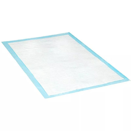 HYGIENIC TRAINING PAD FOR DOGS 10 PCS DOGS COLLECTION