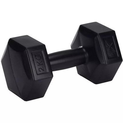 Kompozitinių hantelių rinkinys 2x2KG XQMAX