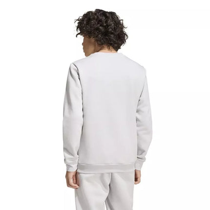 adidas Entrada 26 vaikiškas pilkas bliuzonas JZ6551