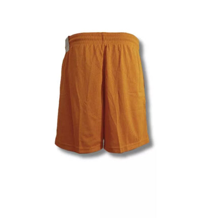 Nike Fly Essential Šortai Moterims Chutney/Balta - CU4573-712