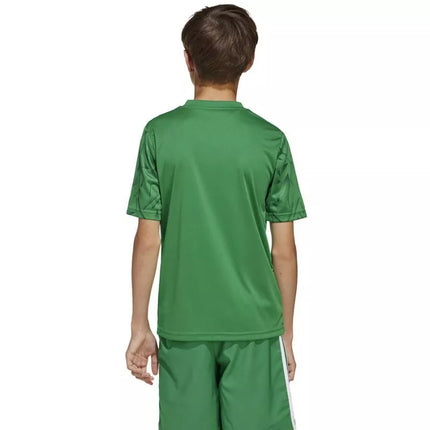 adidas Team Icon 25 JSY Jr JJ1956 Marškinėliai