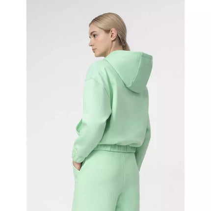 Džemperis 4F W 4FSS23TSWSF255-42S