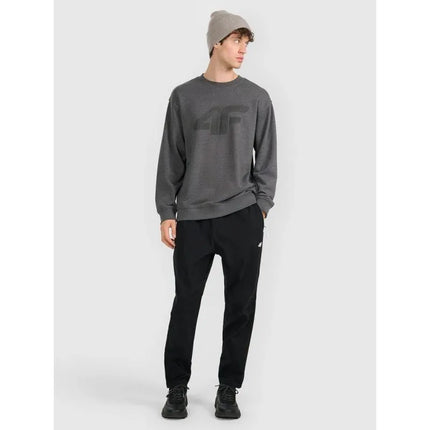 Men's sweatshirt without zipper, without hood, 4F 4FRMM00TSWSM2479-23M