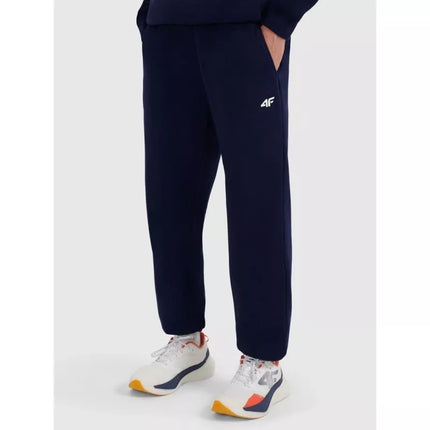 Men's jogger sweatpants 4F 4FRMM00TTROM1625-31S