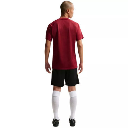 Nike Dri-Fit Park VIII Vyriški marškinėliai Bordo HV8173 677