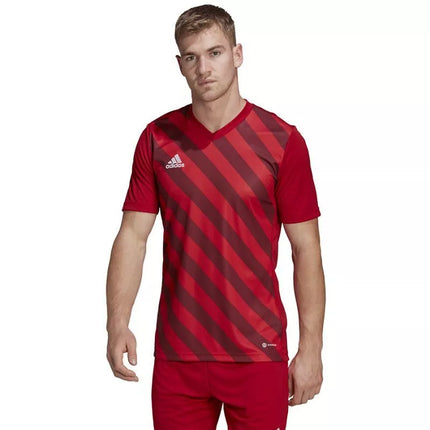 Adidas Entrada 22 grafiniai marškinėliai M HB0572