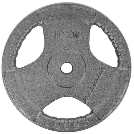 HAMMERTONE svoris 10 KG ENERO FIT Ø26.5