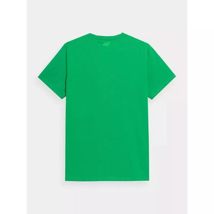 Marškinėliai 4F M 4FSS23TTSHM311-41S