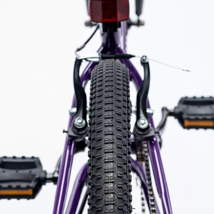 Martes Essentials Ninja 20 vaikiškas dviratis 92800597994