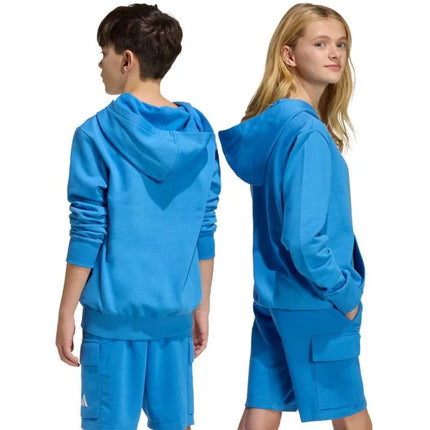 adidas Essentials Hoodie for kids blue KD3382