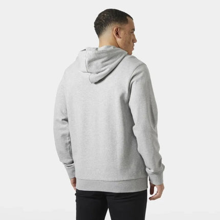 Helly Hansen vyrų HH LOGO džemperis su gobtuvu 54582 949