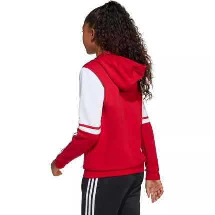 Adidas Squadra 25 džemperis su gobtuvu Jr JD4805