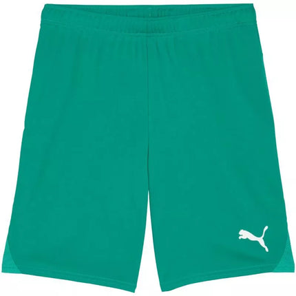 Puma Team Goal vyriški šortai, žali 705752 05