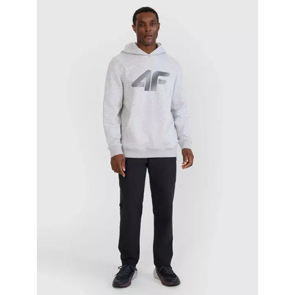 Men's sweatshirt with hood, open, 4F 4FWMM00TSWSM1766-27M