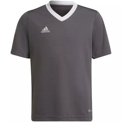 Adidas Entrada 22 Jsy Jr Marškinėliai H57499