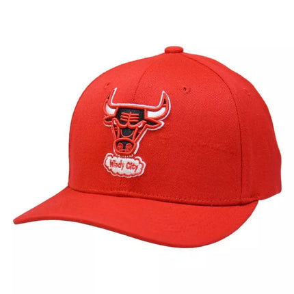 Mitchell & Ness NBA Čikagos Bulls komandos „Team Ground 2.0“ snapback tipo kepuraitė - HHSS3260-CBUYYPPPRED1