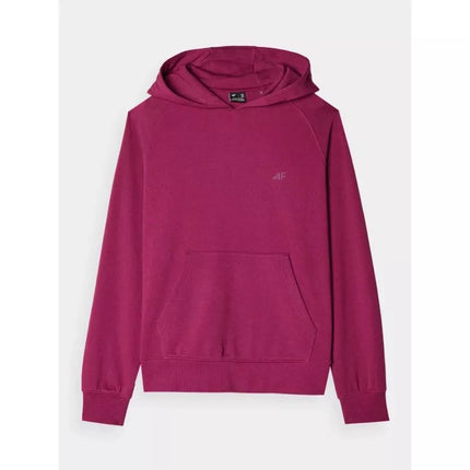 Džemperis 4F W 4FWMM00TSWSF1468-51S