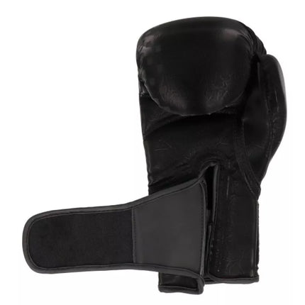 MASTERS RPU-GLOSS boxing gloves