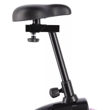 Purple magnetic bike HMS M9239V