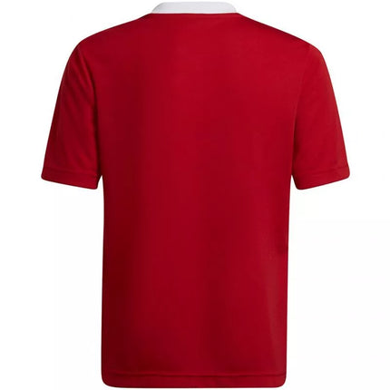 Adidas Entrada 22 Jsy Jr Marškinėliai H57496