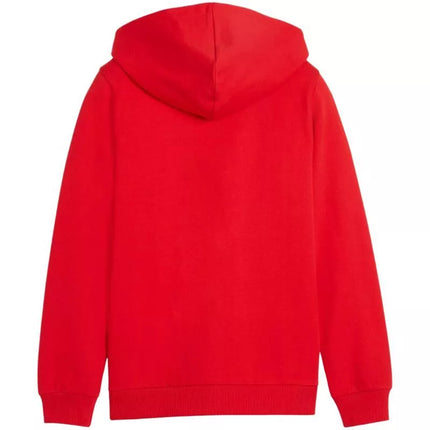 Puma teamGoal Casuals Hooded kids' sweatshirt red 658596 01