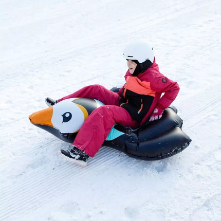 Sniego čiuožykla Pingvinas Meteoritas 16763