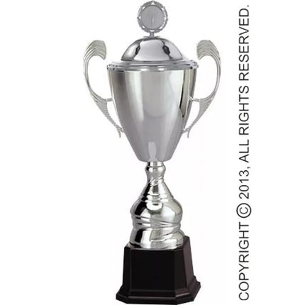 Silver metal cup with lid