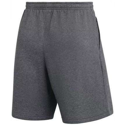 Nike Park 26 Fleece Men's Shorts Gray IB1238 063