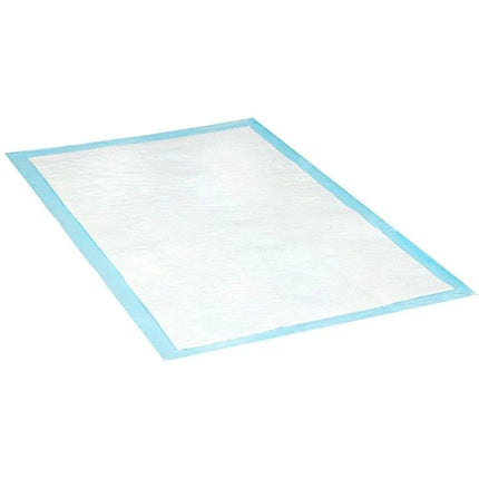 HYGIENIC TRAINING PAD FOR DOGS 10 PCS DOGS COLLECTION