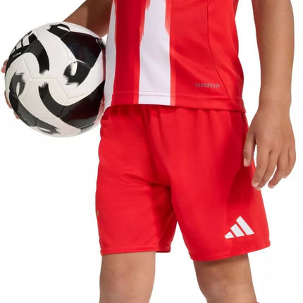 adidas FC Bayern 25/26 Namų raudonas JN8510 vaikiškas sportinis komplektas