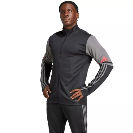 Adidas Squadra 25 Training M JD1630 džemperis