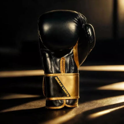 10oz Boxing Gloves - Infinity - Origin Series
