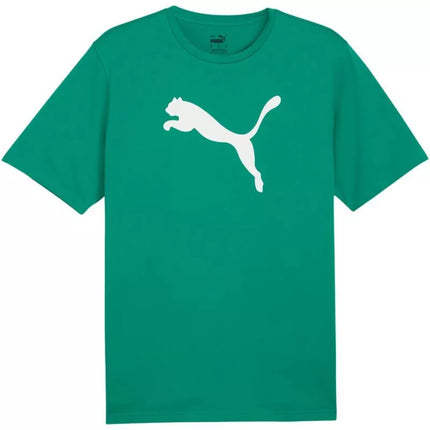 Marškinėliai Puma Team Rise Logo Jersey Cotton M 658705 05