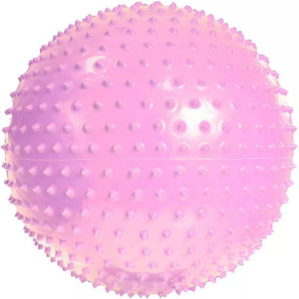 PROFIT Gimnastikos Kamuolys su Masažu 55cm Violetinis DK 2104