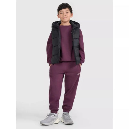 Children's down vest with synthetic filling 4F 4FJRAW25TVJAU331-20S