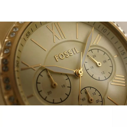 FOSSIL Modern Courier Chronograph BQ3378 Women's Watch + BOX