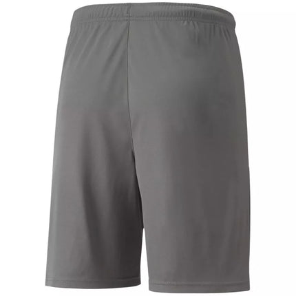 Puma teamLIGA M 704924 13 šortai
