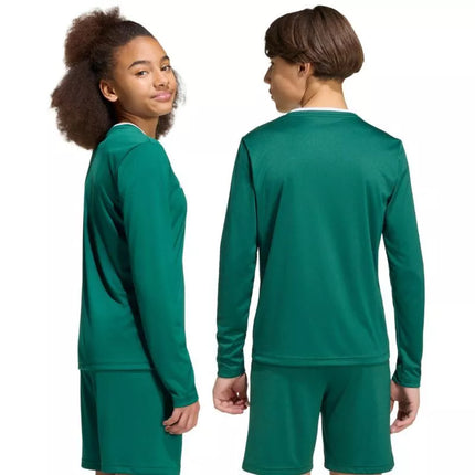 adidas Entrada 26 Long Sleeve Jersey for Kids Green KF5873