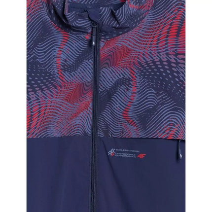 Men's sweatshirt without hood 4F 4FRAW25TSWSM2483-31S