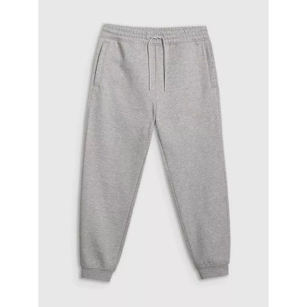 Men's jogger sweatpants 4F 4FRAW25TTROM1832-27M