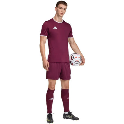 Men's adidas Entrada 26 burgundy shorts JZ2514