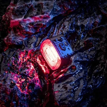 Rockbros Q2S LED galinis dviračio žibintas su išmaniąja stabdžių sistema, komplekte USB-C - USB-A laidas - Juodas