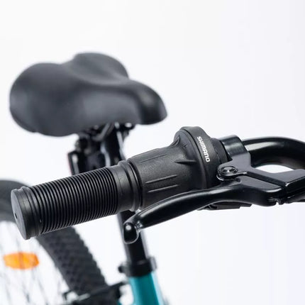 Children's Bike Radvik Viking 20 92800597756