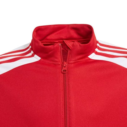 Adidas Squadra 21 treniruočių džemperis jaunimui Jr GP6458