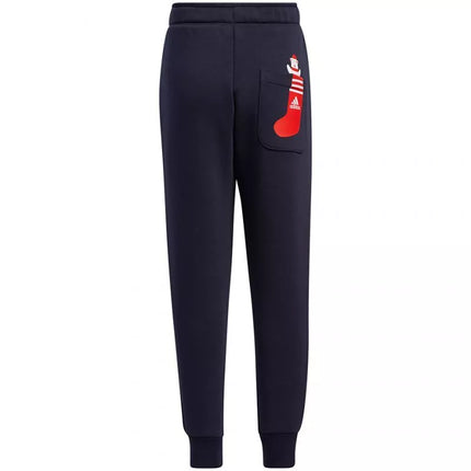 Adidas LK Holiday Set Jr. sportinis kostiumas H40344