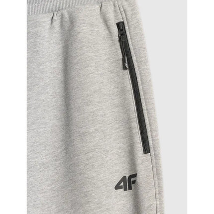 Vyriškos sportinės kelnės (jogger) 4F 4FRMM00TTROM2020-27M